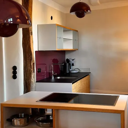 Loewenhaus Apartment *